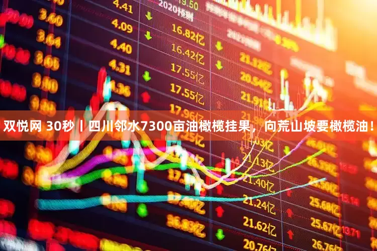 双悦网 30秒丨四川邻水7300亩油橄榄挂果，向荒山坡要橄榄油！