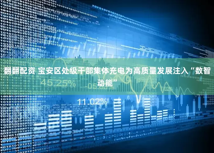 翻翻配资 宝安区处级干部集体充电为高质量发展注入“数智动能”