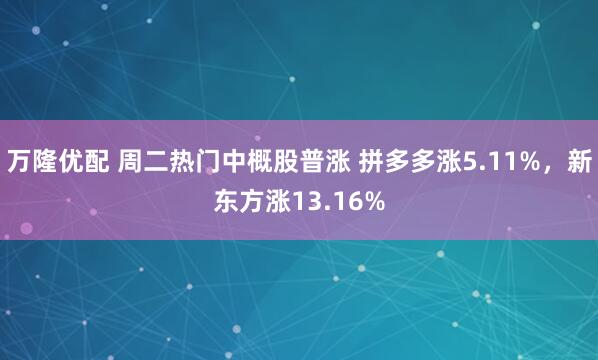 万隆优配 周二热门中概股普涨 拼多多涨5.11%，新东方涨13.16%