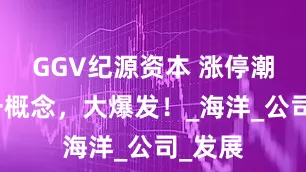 GGV纪源资本 涨停潮！这一概念，大爆发！_海洋_公司_发展