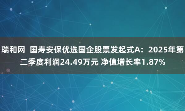 瑞和网  国寿安保优选国企股票发起式A：2025年第二季度利润24.49万元 净值增长率1.87%