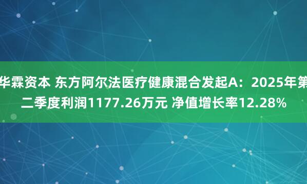 华霖资本 东方阿尔法医疗健康混合发起A：2025年第二季度利润1177.26万元 净值增长率12.28%