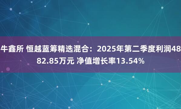牛鑫所 恒越蓝筹精选混合：2025年第二季度利润4882.85万元 净值增长率13.54%