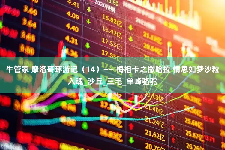 牛管家 摩洛哥环游记（14）—— 梅祖卡之撒哈拉 情思如梦沙粒入魂_沙丘_三毛_单峰骆驼